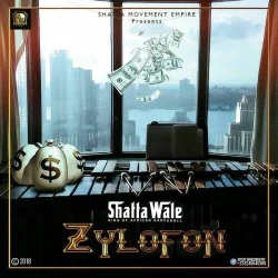 Shatta Wale - Zylofon