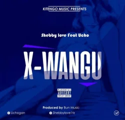 Shebby Love - X WANGU (feat. UCHO)