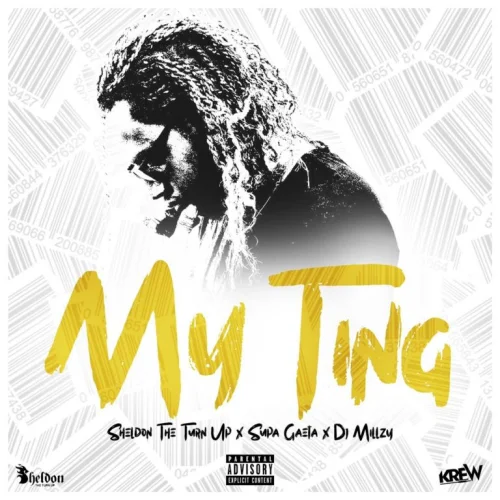 Sheldon The Turn Up - My Ting (feat. Supa Gaeta & DJ Millzy)
