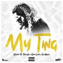 Sheldon The Turn Up - My Ting (feat. Supa Gaeta & DJ Millzy)