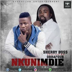 Sherry Boss - Nkunimdie (feat. Obrafour)