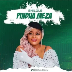 Shilole - Pindua Meza