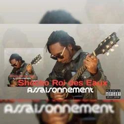 Shocko Roi Des Eaux - Assaisonnement