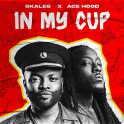 Skales - In My Cup (feat. Ace Hood)
