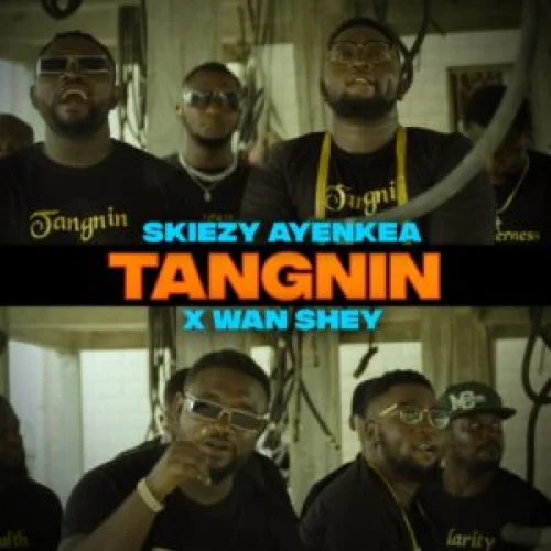 Skiezy Ayenkea - Tangnin Tangnin (feat. Wan Shey)