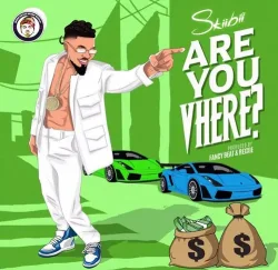 Skiibii - Are You Vhere