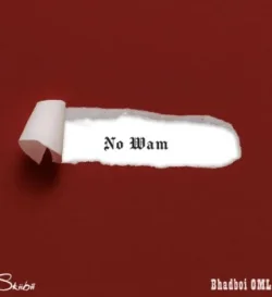 Skiibii - No Wam (feat. Bhadboi OML)