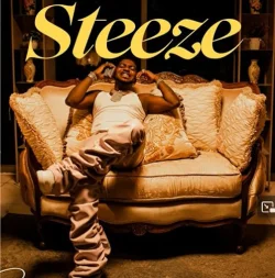 Skiibii - Steeze
