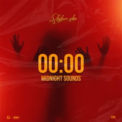 Skyface SDW - All Night