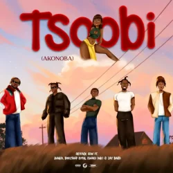 Skyface SDW - TSOOBI (AKONOBA) (feat. Lasmid, Jay Bahd, Kwaku DMC & Beeztrap KOTM)