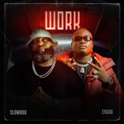 Slowdog - Work (feat. Evado)