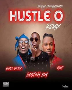 Small Doctor - Hustle O (Remix)