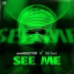 Small Doctor - See Me