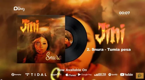 Snura - Tumia Pesa