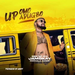 Son Of Ika Jamokay - Up Omo Adugbo