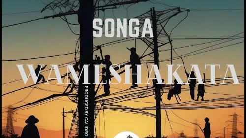 Songa - Wameshakata Freestyle L