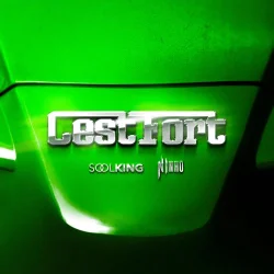 Soolking - C'est fort (feat. Ninho)