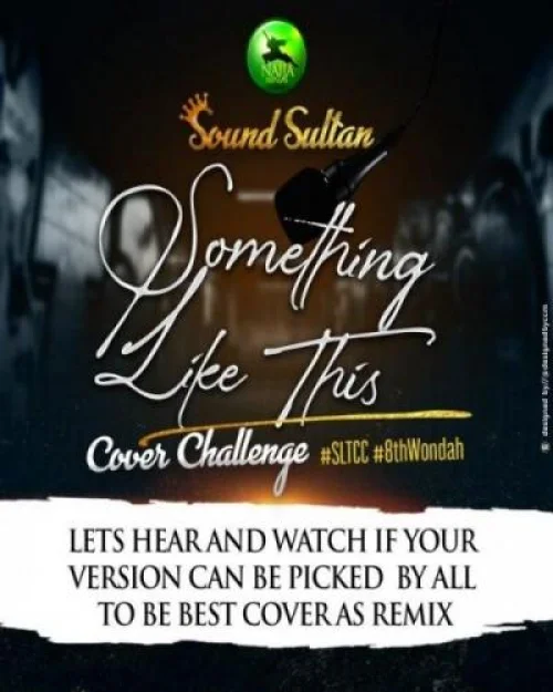 Sound Sultan - Something Like This