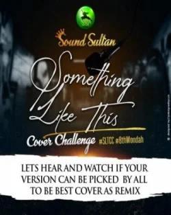 Sound Sultan - Something Like This