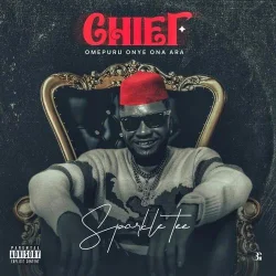 Sparkle Tee - Chief (Omepuru Onye Ona Ara)