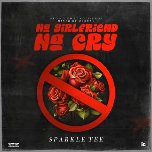Sparkle Tee - No Girlfriend No Cry