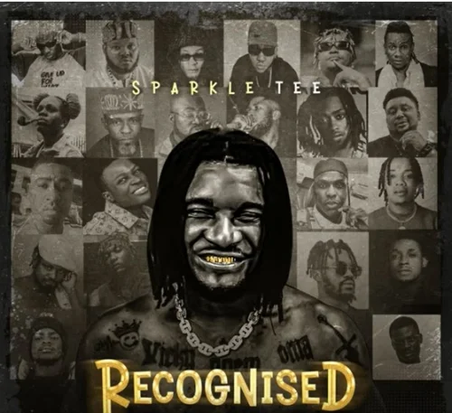 Sparkle Tee - Recognized