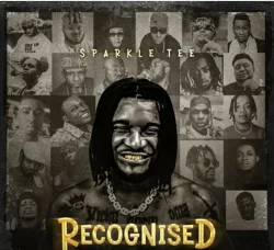 Sparkle Tee - Recognized