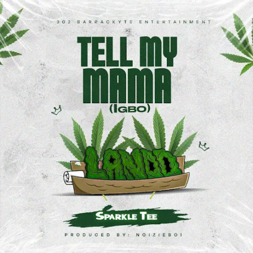 Sparkle Tee - Tell My Mama (Igbo)