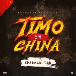 Sparkle Tee - Timo In China