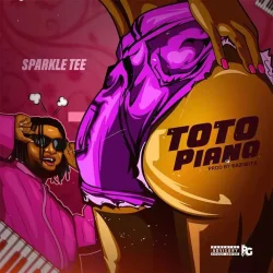 Sparkle Tee - Totopiano