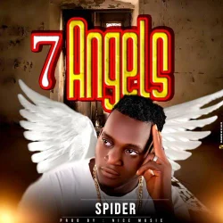Spider - 7angels