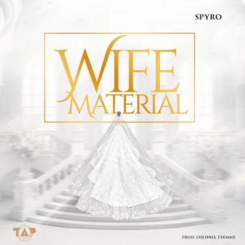 Spyro - Wife Material