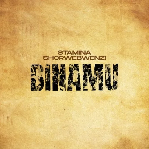 Stamina - Binamu (feat. Mwana FA)