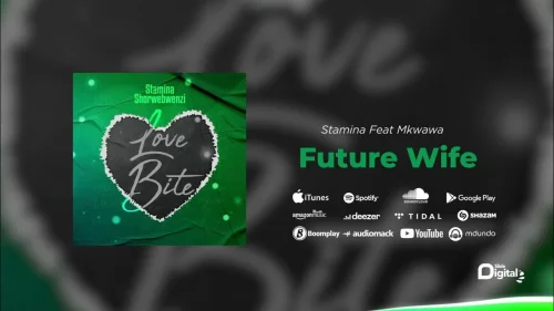 Stamina - Future Wife (Part 1) (feat. Mkwawa)