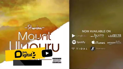 Stamina - Jamvi La Wageni (feat. Rich Mavoko)