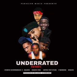 Stamina - Underrated Remix (feat. Maarifa, Dizasta Vina, Motra The Future, P Mawenge & Boshoo)