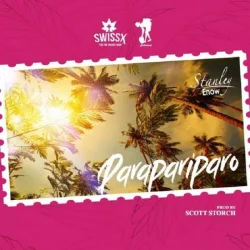 Stanley Enow - Parapariparo