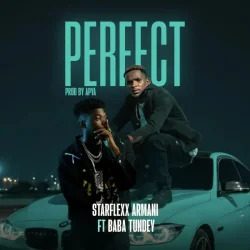 Starflexx Armani - Perfect (feat. Baba Tundey)