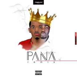 Stay Jay - Pana (Remix) (feat. Tekno)