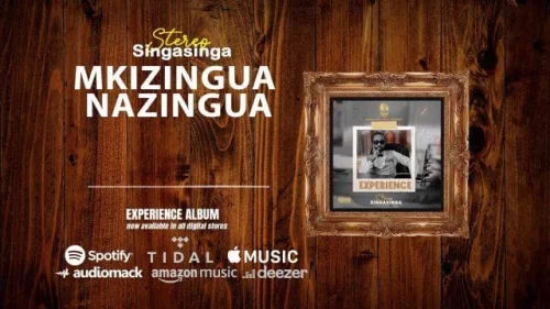 Stereo (SingaSinga) - Mkizingua Nazingua