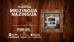 Stereo (SingaSinga) - Mkizingua Nazingua