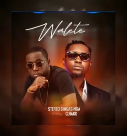 Stereo (SingaSinga) - Walete (feat. G Nako)