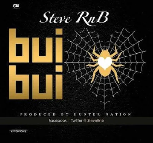 Steve RnB - BuiBui