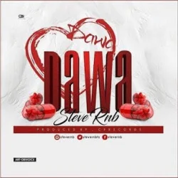 Steve RnB - Dawa