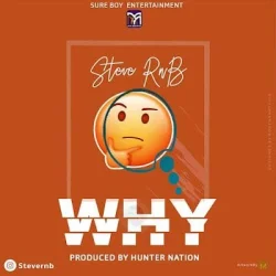 Steve RnB - Why