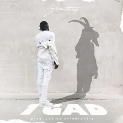 Stonebwoy - 1GAD
