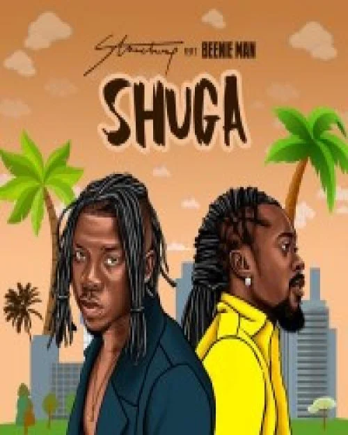 Stonebwoy - Shuga