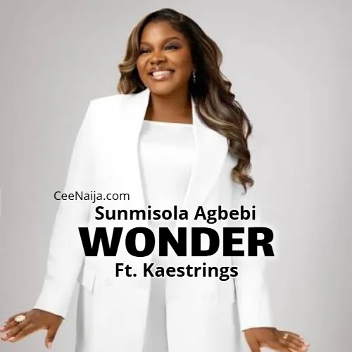 Sunmisola Agbebi - Wonder (feat. Kaestrings)