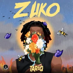 TAR1Q - Zuko