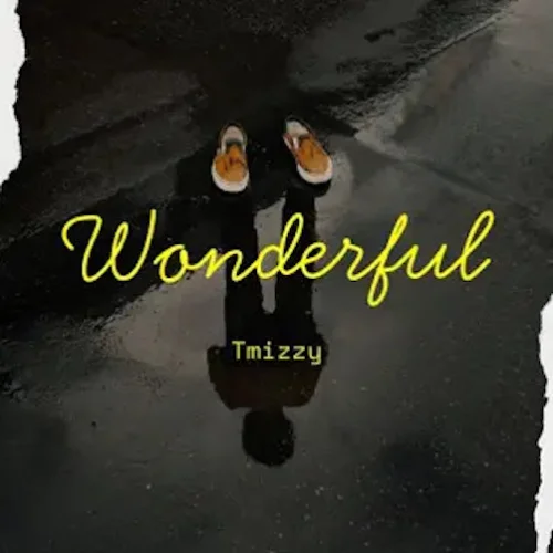 TMizzy MrHorrizen - Wonderful (feat. Small Doctor)